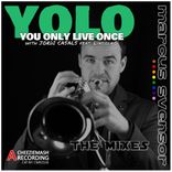Artwork for "Yolo (You Only Live Once) (The Mixes)"