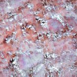 Portada para "The Dr Oedipus Complex"