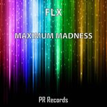 Artwork voor "Maximum Madness"