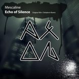 Artwork for "Echo of Silence"