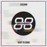 Portada para "What Ya Doing"