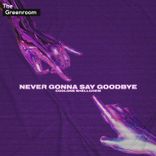 Artwork for "Never Gonna Say Goodbye"