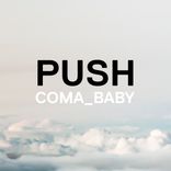Portada para "Push"