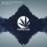 Artwork voor "Da Ruckus"