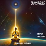 Artwork for "The Light"