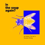 Portada para "In the Soup Again?"