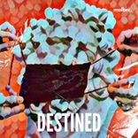 Artwork for "Destined"