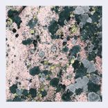 Artwork for "Stay Live"