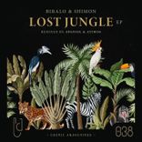 Portada para "Lost Jungle"