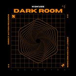 Artwork for "Dark Room"