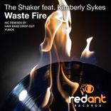 Artwork for "Waste Fire"