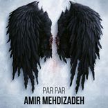 Portada para "Par Par"