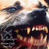 Artwork for "Angry Bass"