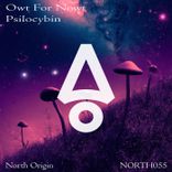 Artwork for "Psilocybin"