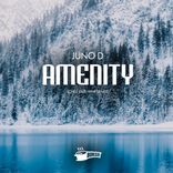 Portada para "Amenity"