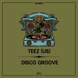 Artwork for "Disco Groove"
