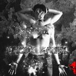 Artwork for "Bache Gholl"