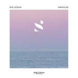 Artwork für "Miracles"