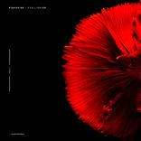 Portada para "Stallion"