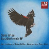 Artwork for "Blackbird Remixes"