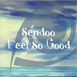 Artwork voor "Feel So Good"