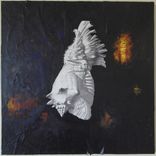 Artwork for "Sirius"