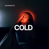 The Democrats of Seat