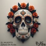 Artwork for "Zahara De Acido"