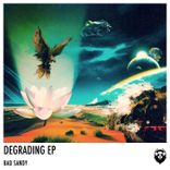 Portada para "Degrading"