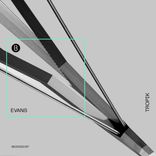 Artwork for "Tropik"