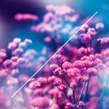 Artwork for "True Colors"