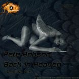 Artwork voor "Back In Heaven"