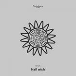 Artwork für "Hail Wish"