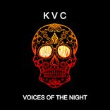 Artwork for "Voices Of The Night"