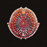 Artwork for "Synapses 1"