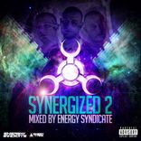 Portada para "Synergized 2"