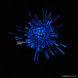 Artwork voor "Komet"