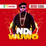 Artwork for "Ndi Wuwo"