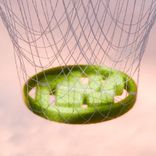 Artwork for "Nkr Summer Selection 2025"