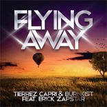 Artwork voor "Flying Away"