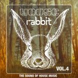 Artwork for "House Rabbit Vol. 4"