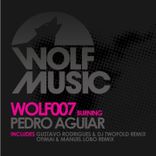 Portada para "Burning"