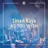 Artwork for "As You Wish"