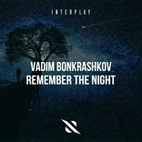 Artwork for "Remember The Night"
