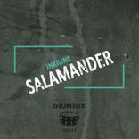 Artwork für "Salamander"