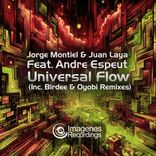 Universal Flow