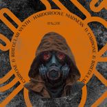 Artwork for "Hardgroove Madness"