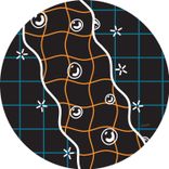 Artwork for "Nataraja / Tandava"