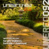 Artwork voor "Solitude / Amethyst"