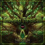 Artwork for "Growling Forest III"